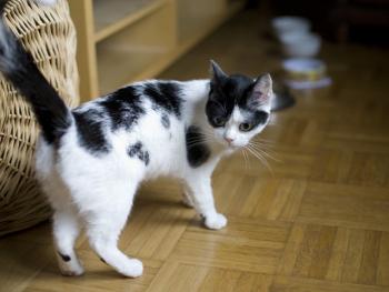 m Bild von Mitxi