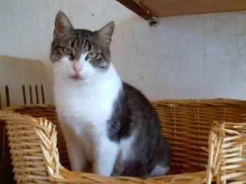 Bild von Anastasia