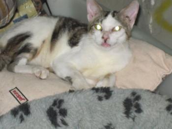 f Bild von Freddie