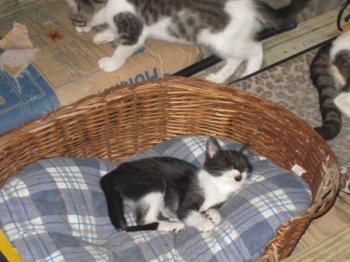 Bild von Hope