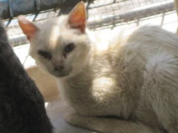 o Bild von Snow