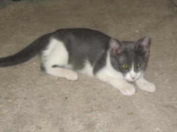 l Bild von Lili