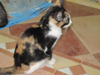 l Bild von Lisa