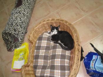 l Bild von Lorda