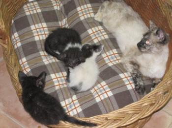 m Bild von Mamina