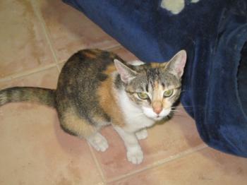 p Bild von Lilou