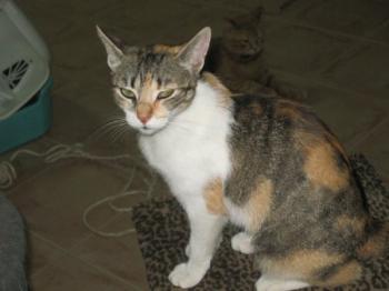 p Bild von Lilou