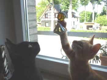 n Bild von Naruto
