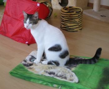 m Bild von Momo