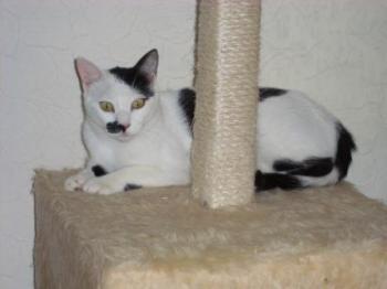 a Bild von Addi