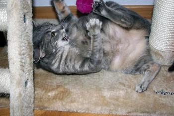 n Bild von Nana
