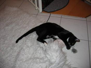 Krim Bild von Krim