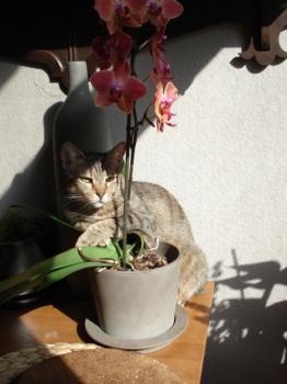 Caneli Bild von Caneli