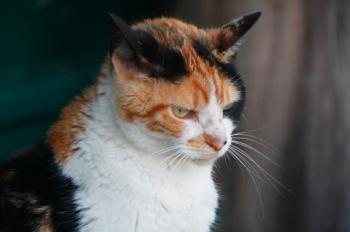 m Bild von Michus