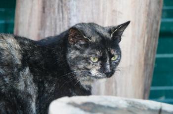 m Bild von Misako