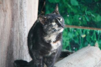 m Bild von Misako
