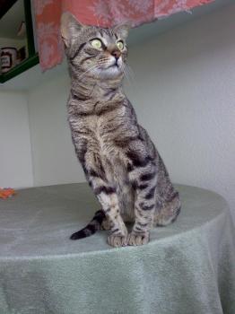 Felipe Bild von Felipe