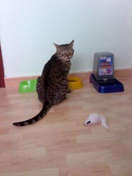 Felipe Bild von Felipe