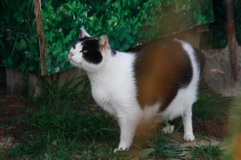 Bild von Ternasco-Ronny