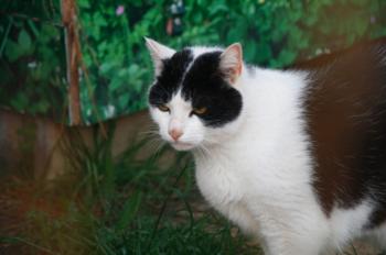 Bild von Ternasco-Ronny