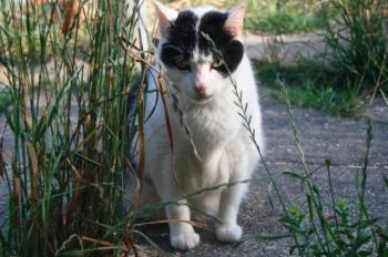 Bild von Ternasco-Ronny