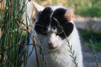 Bild von Ternasco-Ronny