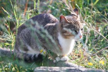 s Bild von Sarita