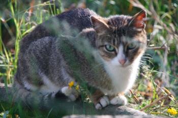 s Bild von Sarita