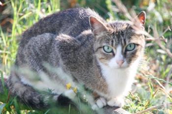 s Bild von Sarita