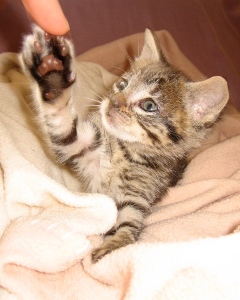 m Bild von Momo