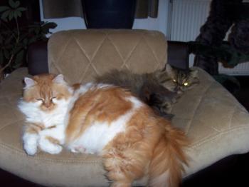 m Bild von Marilyn