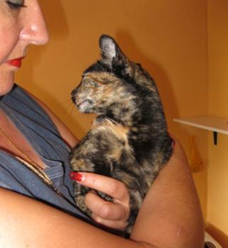 Bild von Tina