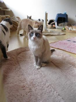 m Bild von Manchita