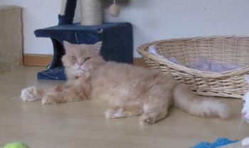s Bild von Sunny