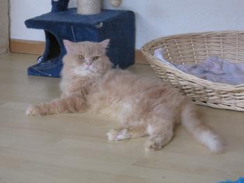 s Bild von Sunny