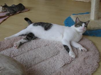 m Bild von Momo