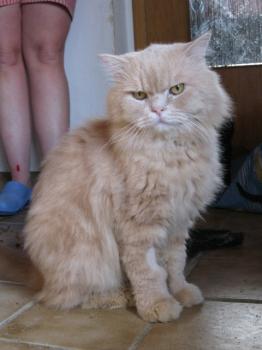 s Bild von Sunny