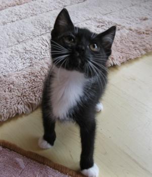 a Bild von Aurora