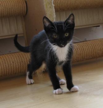 a Bild von Aurora