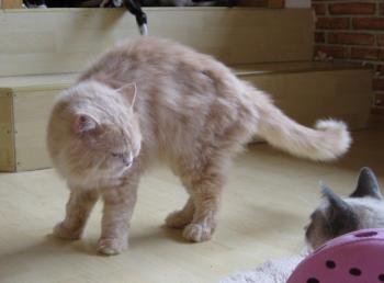 s Bild von Sunny