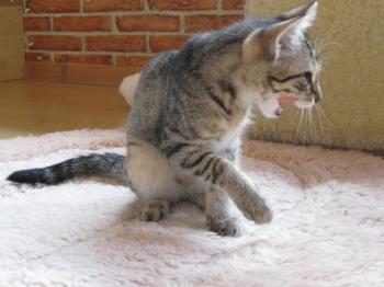 Bild von Betty