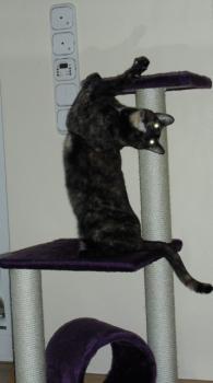 c Bild von Carleta