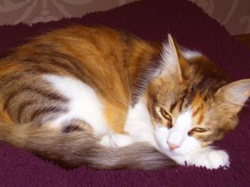 l Bild von Txita