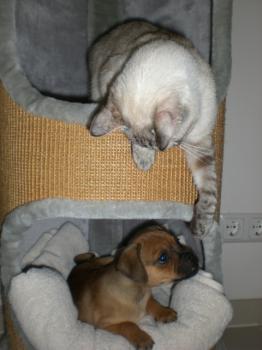 n Bild von Nata