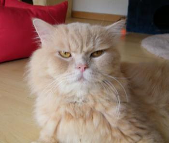 s Bild von Sunny