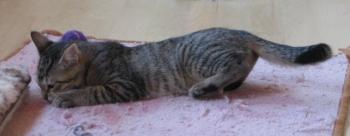 Bild von Betty