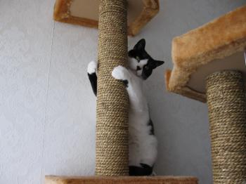 n Bild von Nita