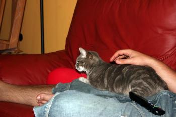 n Bild von Nana