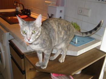 m Bild von Mona