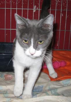l Bild von Lili